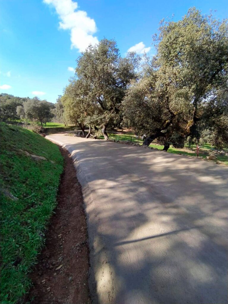 obra en camino rural 2